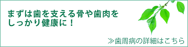 まずは歯を支える骨や歯肉をしっかり健康に！